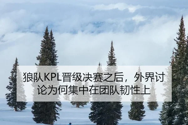 狼队KPL晋级决赛之后，外界讨论为何集中在团队韧性上 | leyu
